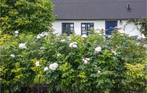 um arbusto de rosas em frente a uma casa em Beautiful Home In Simrishamn With Kitchen em Simrishamn