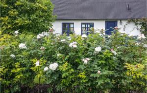 Zahrada ubytování Nice Home In Simrishamn