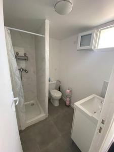 łazienka z prysznicem, toaletą i umywalką w obiekcie Appartement près de l aéroport CDG et Disneyland w mieście Claye-Souilly