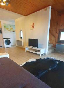 TV a/nebo společenská místnost v ubytování Superbe appartement 3.5 avec cheminée