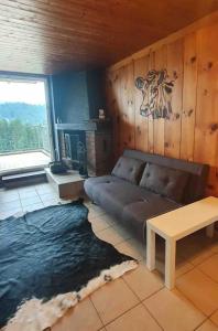 Superbe appartement 3.5 avec cheminée的休息区