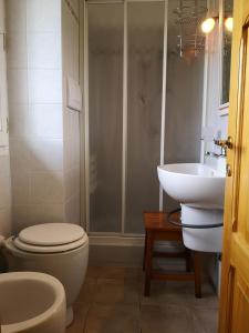 a bathroom with a toilet and a sink and a shower at Il canto dell'asino in Gubbio