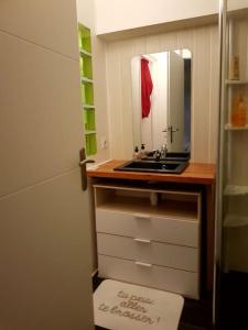 La salle de bains est pourvue d'un lavabo et d'un miroir. dans l'établissement Entre lac et montagne proche gare et thermes., à Aix-les-Bains