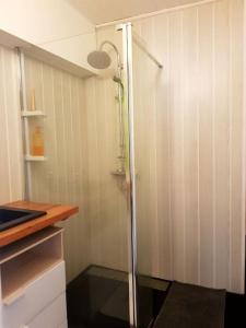 La salle de bains est pourvue d'une douche avec une porte en verre. dans l'établissement Entre lac et montagne proche gare et thermes., à Aix-les-Bains