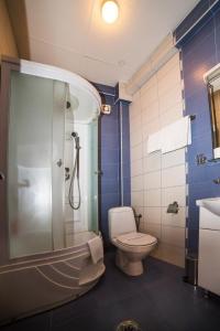 a bathroom with a toilet and a shower and a sink at B&B Vila Tamaris in Zaječar