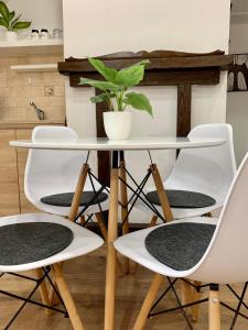 una mesa y cuatro sillas con una planta en Barbakán Apartman Gyula, en Gyula