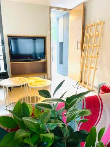 sala de estar con TV y maceta en Casa Champagnat, en Mendoza