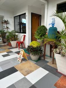 Garður fyrir utan Tacloban EVMC Gdex Transient House
