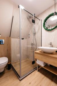 uma casa de banho com um chuveiro, um WC e um lavatório. em Black & White Panoramic em Rimetea