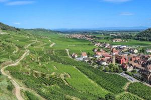 z góry widok na wioskę w winnicy w obiekcie Studio Le Belvédère TURCKHEIM w mieście Turckheim