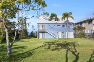 Arrawarra的住宿－Blue Oar Beach House Arrawarra Headland，草场上一棵树上的蓝色房子