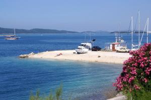 a beach with boats in the water and flowers at Apartments by the sea Brodarica, Sibenik - 20762 in Šibenik +7 photos