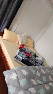 a small bed with two pillows on it with at Damfu Basera Homestay in Kurseong