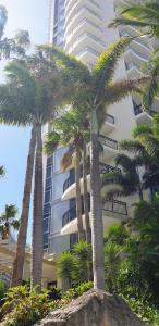 a group of palm trees in front of a building at Bellagio@Chevron, Luxe, 2 Bedroom Apartment in the Heart of Surfers Paradise! in Gold Coast