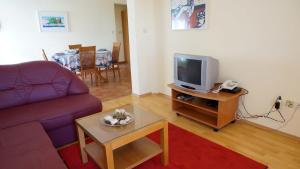 salon z fioletową kanapą i telewizorem w obiekcie Villa Dvorine w mieście Tisno