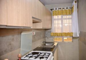 cocina con fogones, fregadero y ventana en Nova Homes en Thika