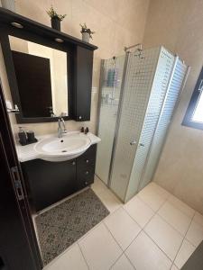 a bathroom with a sink and a shower at הפינה בנחל in Hagoshrim