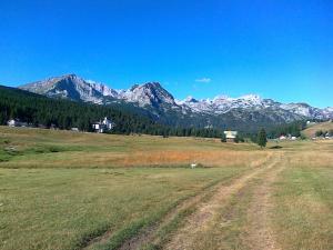 a field with mountains in the background with a dirt road at Žabljak City Center Apartments in Žabljak