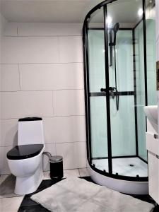 a bathroom with a toilet and a glass shower at Glempings Anemones in Plieņciems