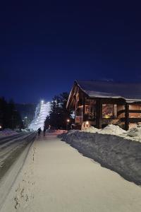 people walking down a snow covered street at night at Levi Platinum Aurora in Levi