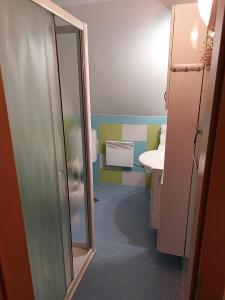 La salle de bains est pourvue d'une douche et d'un lavabo. dans l'établissement Zidanica Meglič - Vineyard cottage Meglič, à Trebnje