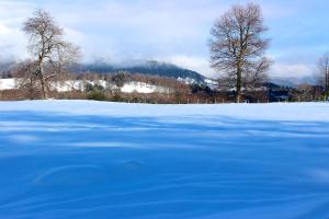 ein großer Körper mit blauem Wasser auf einem schneebedeckten Feld in der Unterkunft Chile Wild - Las Vertientes in Malalcahuello