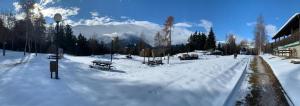 Camping & Chalet Pian della Regina during the winter