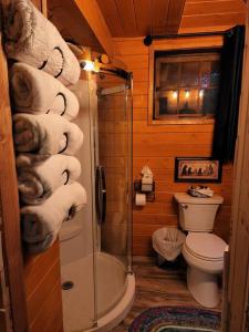 Bagno di The Eagle's Nest Treehouse Cabin