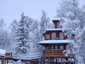 The Eagle's Nest Treehouse Cabin durante l'inverno