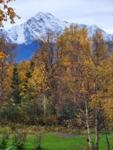 Paesaggio naturale nelle vicinanze dell'affittacamere