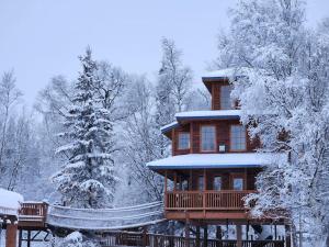 The Eagle's Nest Treehouse Cabin durante l'inverno