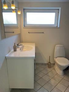 La salle de bains est pourvue d'un lavabo et de toilettes. dans l'établissement Hyggelig & lys kælderlejlighed, à Herning