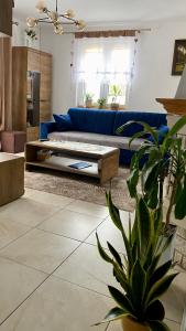 uma sala de estar com um sofá azul e um vaso de plantas em Dom z plażą Świerkowa Przystań em Giżycko