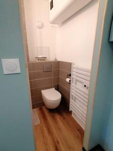 a small bathroom with a toilet in a room at Studio neuf - parking - 3 Epis proche Turckheim in Turckheim