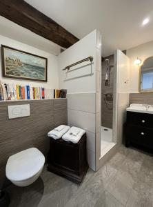 a bathroom with a toilet and a shower and a sink at HENRI& HENRIETTE le studiolo d'HENRI in Vannes