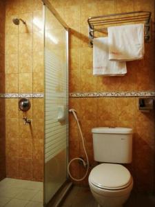 a bathroom with a toilet and a shower at Istana Monaco Hotel in Tawau