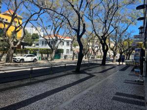 a sidewalk with trees on the side of a street at Sea and Sun 4 You - Jardins da Imperatriz in Funchal