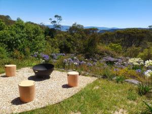 a garden with a fire pit and a field of flowers at Magic in Medlow in Medlow Bath
