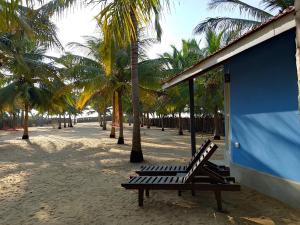 a bench sitting on a beach with palm trees at Nayan's Paradise in Kottanitivu