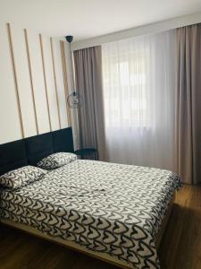 1 dormitorio con cama y ventana en Apartament Mgła en Zielona Góra