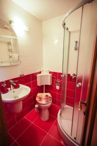 Baño rojo con aseo y lavamanos en Aldevis House, en Horezu