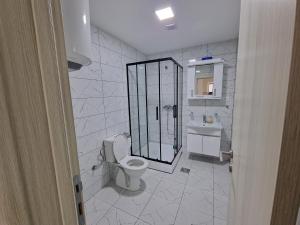 La salle de bains blanche est pourvue de toilettes et d'un lavabo. dans l'établissement Apartman Tološi, à Podgorica