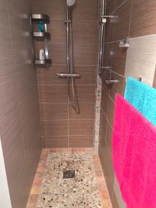 ein Bad mit einer Dusche und rosa und blauen Handtüchern in der Unterkunft Bas de villa cosy in Le Lamentin