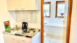 a small kitchen with a sink and a stove at Apartments Katrca Bežigrad in Ljubljana