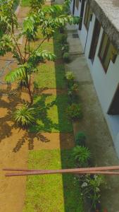 an overhead view of a garden with plants at Villa 64 in Katunayake