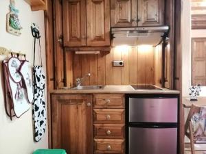 Kuchyňa alebo kuchynka v ubytovaní Estudio con chimenea Cosmos 3