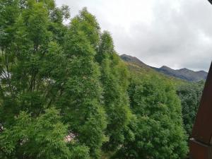Príroda v okolí apartmánu