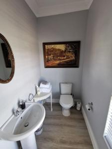 マームズベリーにあるHuis van Brood Guesthouseの洗面台とトイレを備えた白いバスルーム