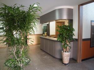 a lobby with two potted plants in front of a counter at Traum Hotel & Condo in Gapyeong
