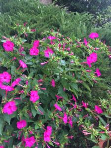 Gallery image of Chez Ghislaine et Robert in Saint-Priest-la-Roche +75 photos